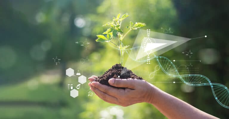 Sustainable biotech and clean energy vision at iNBIO International BioRefineries